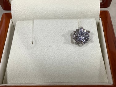 Sterling Silver EARRING
