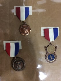 1976 Sports Badges