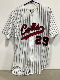 Colts Jersey/T-Shirt (#29, size 46)