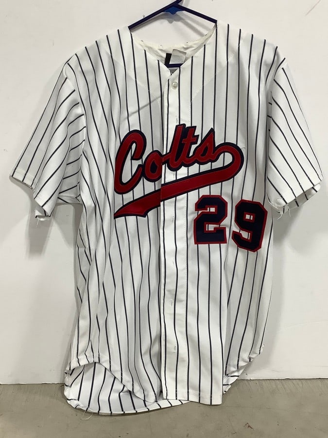 Colts Jersey/T-Shirt (#29, size 46): Colts Jersey/T-Shirt (#29, size 46)