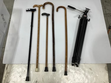 Star D tripod and walking canes(36.5in.longest)