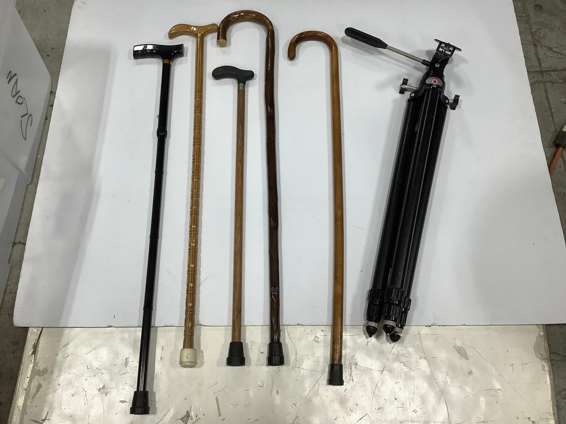 Star D tripod and walking canes(36.5in.longest) (1 of 1)