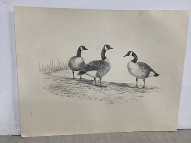 Geese Art Print Signed by Beth Parcell (14inx18in)