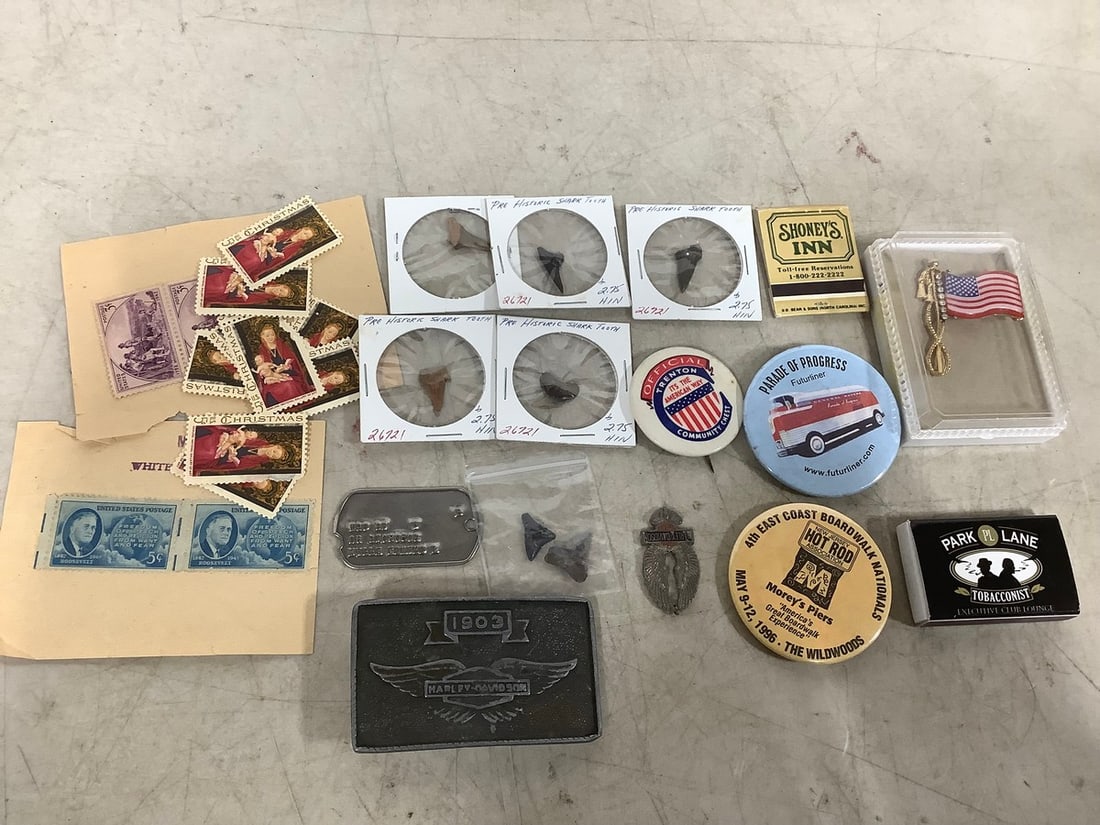 Prehistoric Shark Teeth, Stamps, Belt Buckle, and more: Prehistoric Shark Teeth, Stamps, Belt Buckle, and more