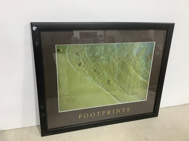 Framed lenticular art(18in.x22in.)