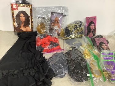Various Costumes, Accessories, and Wig