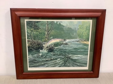 Framed and signed Rainbow Trout print by W. Goadby Lawrence(13.5in.x16.5in.)