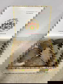 Lot of rocks