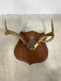 Vintage 1962 Plaque with Deer Antlers