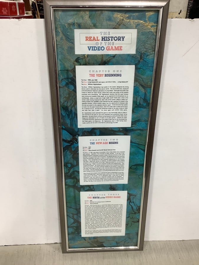 Framed The Real History of the Video Game Print(13.75in.x38.25in.): Framed The Real History of the Video Game Print(13.75in.x38.25in.)