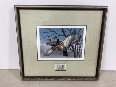 Framed David A. Maass Federal Duck stamp and print(16in.x17.5in.)