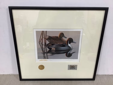 Framed 1982 Phil Scholer Duck stamp and print(17in.x18in.)