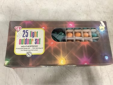 Vintage Gem Christmas outdoor light set in box