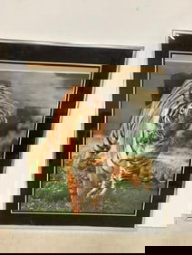 Framed Tiger phtographic print(20.5inx24.5in)