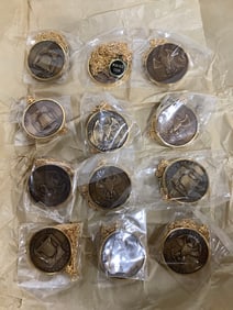 Minted coin necklaces(new in package)
