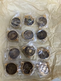 Minted coin necklaces(new in package)