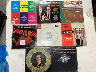 Vintage Records (Bonnie Raitt, The Silencers, etc)