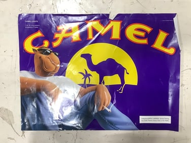 Camel wall decor