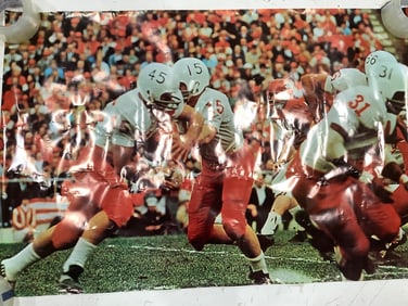 Sports Illustrated poster photographic print by Neil Leifer(25in.x48in.)