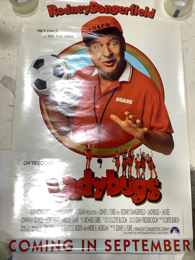 Ladybugs movie poster (27inx41.5in): Ladybugs movie poster (27inx41.5in)