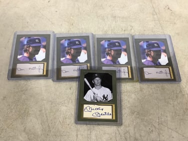 Collector's baseball cards in plastic cases(Don Mattingly and Mickey Mantle)