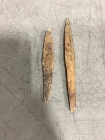 Ancient Roman dug arrowheads
