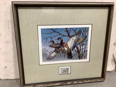 Framed David A. Maass Federal Duck Stamp and Print (16inx17.5in)