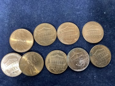 Shield Coins