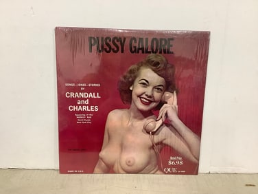 Vintage Pussy Galore record