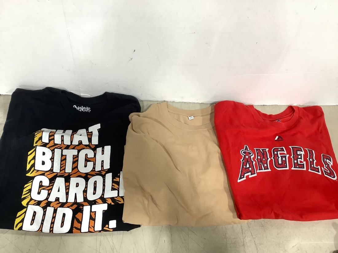 Various Tshirts (Size: Large and XL): Various Tshirts (Size: Large and XL)