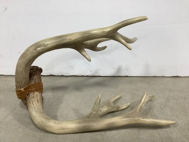 Deer Antlers