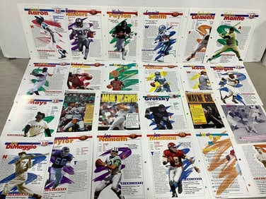 Various Sports Champions Player Information Sheets