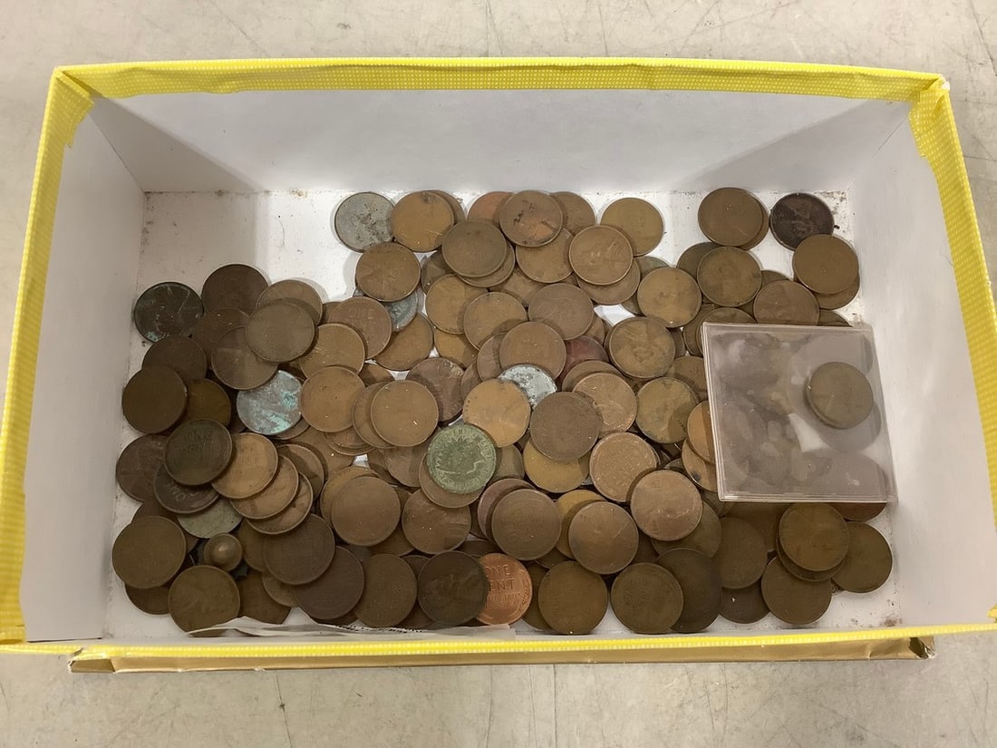 Wheat indian head pennies(unsearched): Wheat indian head pennies(unsearched)