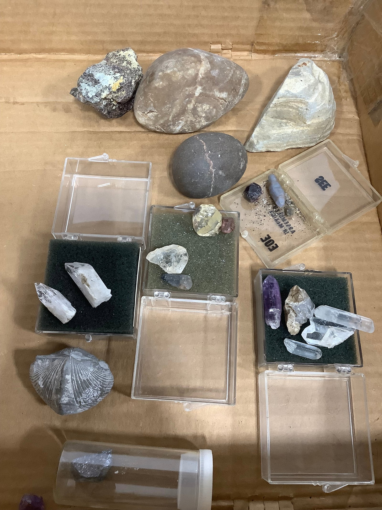 Rocks and minerals: Rocks and minerals