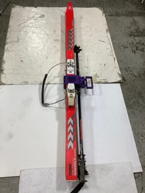 Ski Tote Skis with Poles