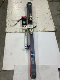 Ski Tote Skis with Poles