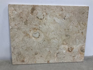 Marble Table Top (19.5inx25.5in)