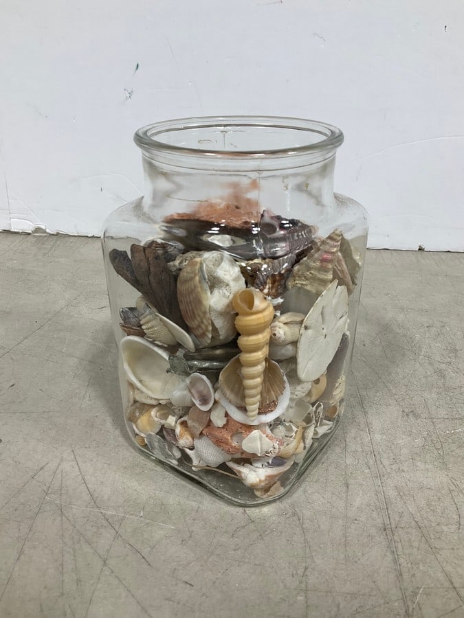 Seashells in glass jar(8in.tall): Seashells in glass jar(8in.tall)