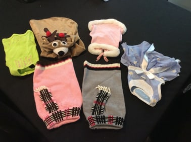 Various Small Dog Costumes