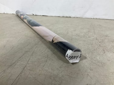 Sealed Abbey road sealed poster