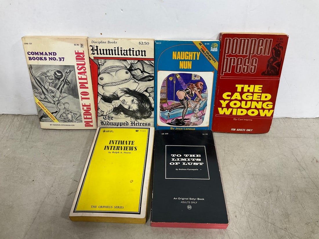 Framed Tom Wesselmann nude artwork(12.5in.x30in.): Framed Tom Wesselmann nude artwork(12.5in.x30in.)