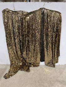 Kenar Sequin Dress Shirt and Pants (100% Silk) Size 12