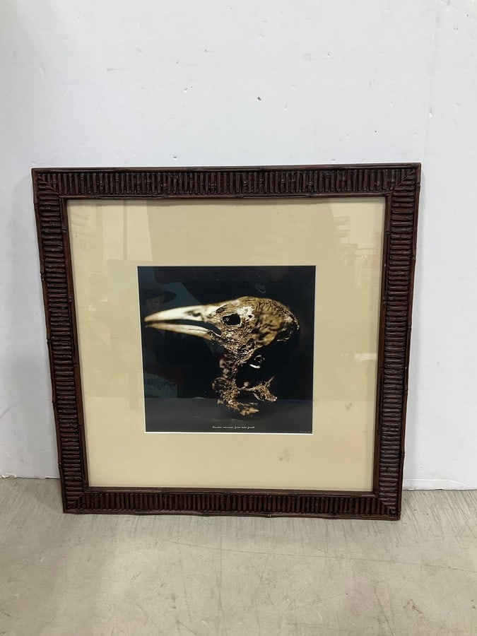 Framed and Signed Bird Skeleton Photograph (16inx16in) (1 of 1)