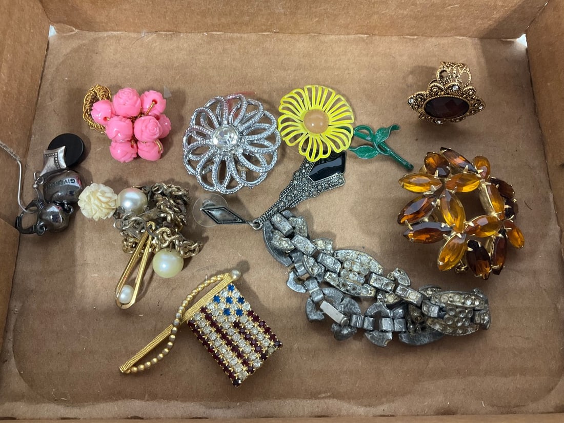 Various Costume Jewelry (Broaches, Bracelet, and more): Various Costume Jewelry (Broaches, Bracelet, and more)