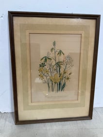 Framed Floral Artwork (12inx16in)