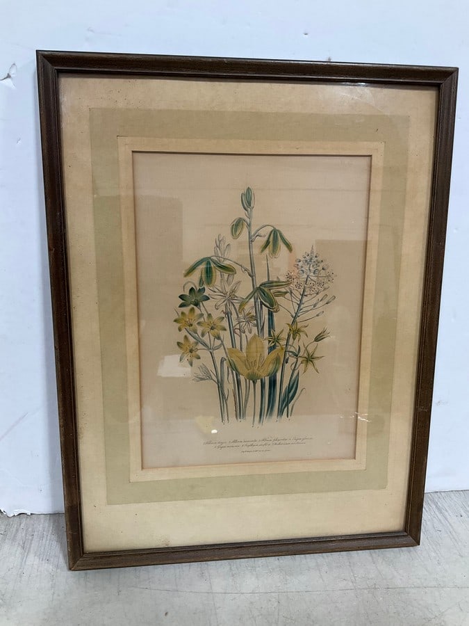 Framed Floral Artwork (12inx16in) (1 of 1)