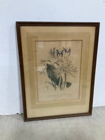 Framed Floral Artwork (12inx16in)