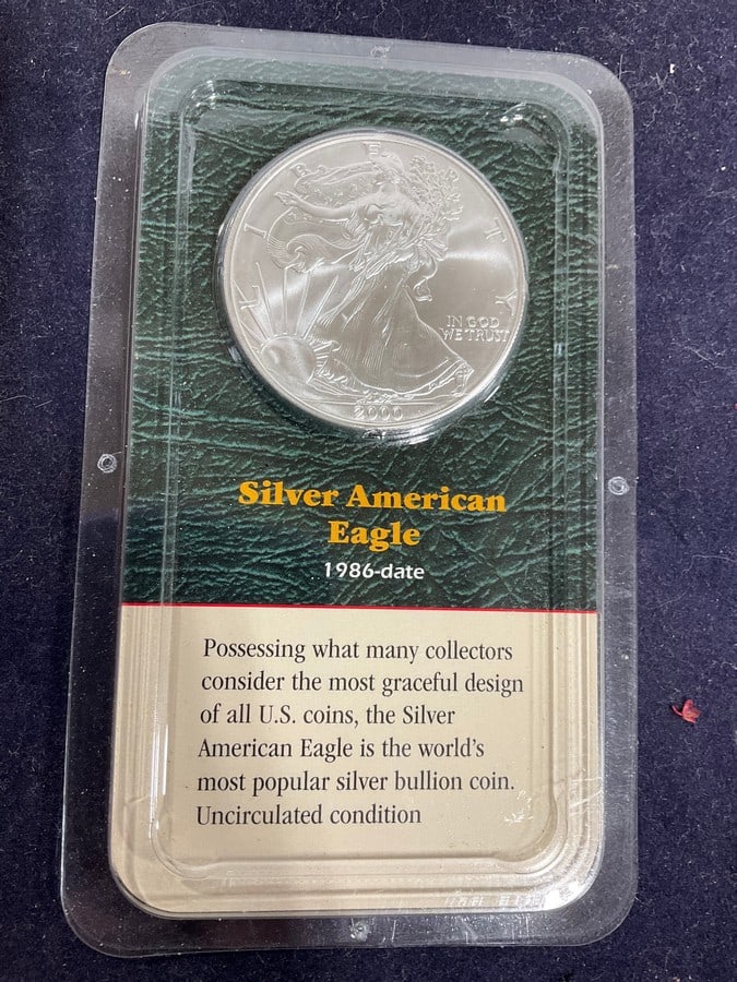 2000 Silver Eagle (1 of 1)