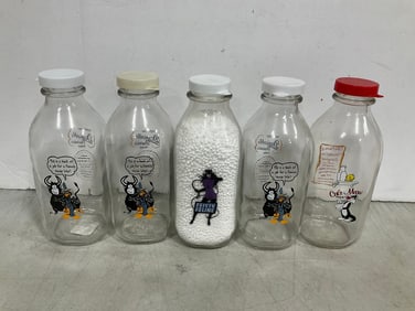Vintage Glass Bottles (8.5in Tall)