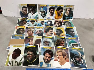 Various Topps Football 1980 Picture Cards *complete set*